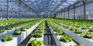 إنطلاق فعاليات المؤتمر الدولي للهندسة الوراثية والزراعة الذكية الشهر المقبل 1 - جريدة المساء