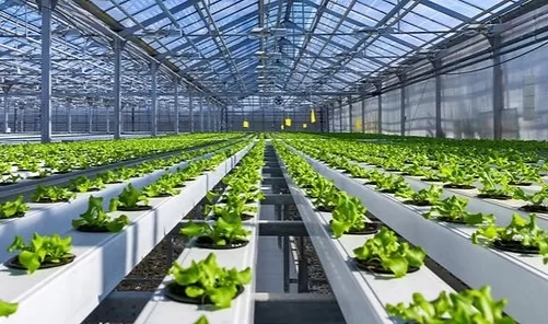 إنطلاق فعاليات المؤتمر الدولي للهندسة الوراثية والزراعة الذكية الشهر المقبل 18 - جريدة المساء