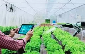 إنطلاق فعاليات المؤتمر الدولي للهندسة الوراثية والزراعة الذكية الشهر المقبل 20 - جريدة المساء