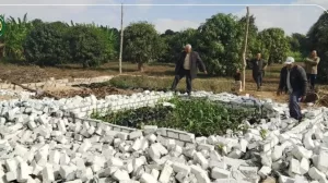 تنفيذ 11حالة إزالة لتعديات بالقنطرة شرق  23 - جريدة المساء