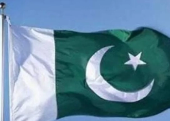 سفير باكستان فى مصر يبحث أستمرار للمساعدات الإنسانية لسكان غزة 21 - جريدة المساء