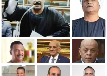 فوز فتحي قنديل بمقعد نجع حمادي..بيان بالحصر العددي لنتائج انتخابات النواب بقنا 29 - جريدة المساء