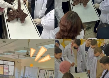 القاهرة الاهلية..تنظم تدريب عملي لطلاب العلاج الطبيعي بمعامل تشريح الجامعة الأم 27 - جريدة المساء
