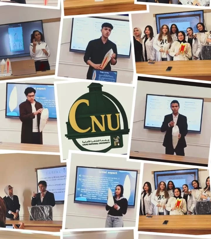 طلاب أسنان القاهرة الأهلية..يبدعون في تصميم نماذج تشريحية للأسنان بدقة عالمية 19 - جريدة المساء