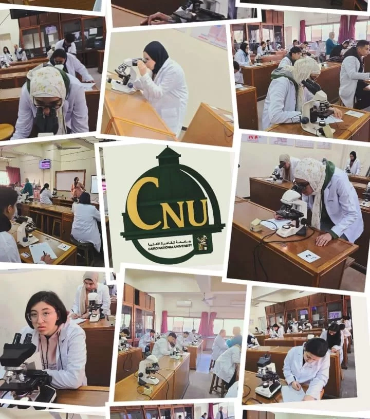 جاهزية معامل ''القاهرة الأهلية'' لامتحان "هستولوجي" طب البيطري 17 - جريدة المساء