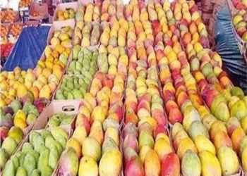 وزير الزراعة: الصادرات الزراعية المصرية حققت 8.8 مليون طن حتى الآن.. بزيادة 750 ألف طن عن نفس الفترة العام الماضي 30 - جريدة المساء وزير الزراعة: الصادرات الزراعية المصرية حققت 8.8 مليون طن حتى الآن.. بزيادة 750 ألف طن عن نفس الفترة العام الماضي 29 - جريدة المساء