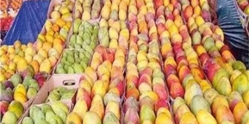 وزير الزراعة: الصادرات المصرية حققت 8.8 مليون طن حتى الآن 2 - جريدة المساء وزير الزراعة: الصادرات المصرية حققت 8.8 مليون طن حتى الآن 1 - جريدة المساء