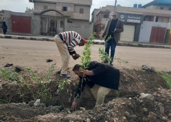 استمرار زراعة الأشجار المثمرة.. تحت شعار "كفرالشيخ للأخضر" 17 - جريدة المساء
