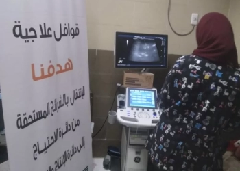 قافلتان طبيتان لدعم (366) مريضا في اسوان 95 - جريدة المساء