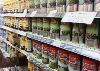 محافظ أسوان يحيل مدير فرع الشركة المصرية للنيابة لعدم توافر سلع بالمجمع 33 - جريدة المساء