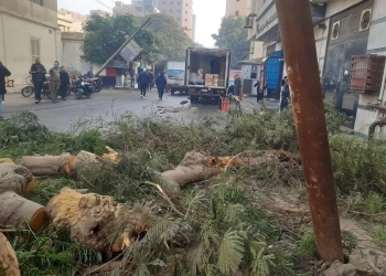 محافظ بني سويف يُكلف رئيس المدينة بمتابعة إصلاح كسر خط مياه بشارع 17...وإجراءات إعادة الحركة المرورية بعد سقوط شجرة أمام مدرسة الأقباط بمدينة بني سويف 27 - جريدة المساء