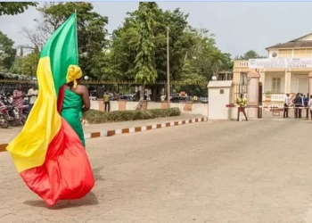 متظاهرة تحمل علم بنين أمام البرلمان