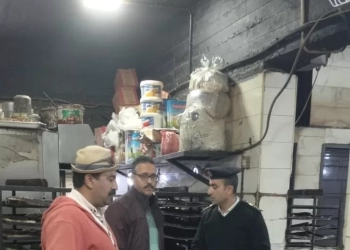 حملة مكبرة بالشروق تحقق 90% من المستهدف في ضبط المخالفات ورفع الإشغالات 28 - جريدة المساء