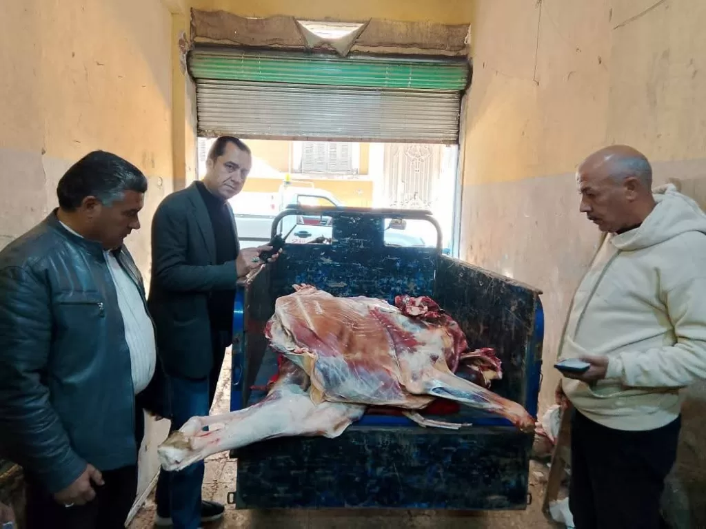 ضبط لحوم غير صالحة للاستهلاك الآدمي داخل سلخانة غير مرخصة.. بمنوف 26 - جريدة المساء ضبط لحوم غير صالحة للاستهلاك الآدمي داخل سلخانة غير مرخصة.. بمنوف 25 - جريدة المساء