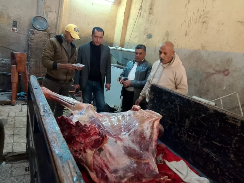 ضبط لحوم غير صالحة للاستهلاك الآدمي داخل سلخانة غير مرخصة.. بمنوف 23 - جريدة المساء