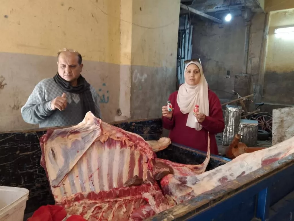 ضبط لحوم غير صالحة للاستهلاك الآدمي داخل سلخانة غير مرخصة.. بمنوف 21 - جريدة المساء