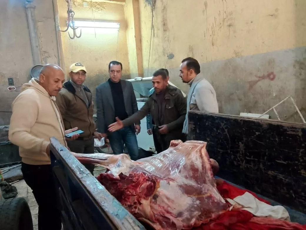 ضبط لحوم غير صالحة للاستهلاك الآدمي داخل سلخانة غير مرخصة.. بمنوف 20 - جريدة المساء ضبط لحوم غير صالحة للاستهلاك الآدمي داخل سلخانة غير مرخصة.. بمنوف 19 - جريدة المساء
