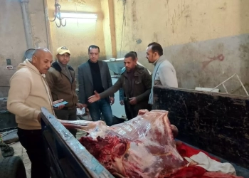 ضبط لحوم غير صالحة للاستهلاك الآدمي داخل سلخانة غير مرخصة.. بمنوف 28 - جريدة المساء ضبط لحوم غير صالحة للاستهلاك الآدمي داخل سلخانة غير مرخصة.. بمنوف 27 - جريدة المساء