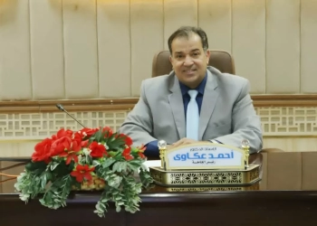 رئيس جامعة قنا يناقش إنشاء الموقع الإلكتروني الرسمي للجامعة 33 - جريدة المساء