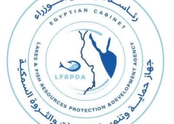 مصر تستضيف ورشة عمل إقليمية لتعزيز إدارة مصايد الأسماك بعروس البحر المتوسط هذا العام 25 - جريدة المساء