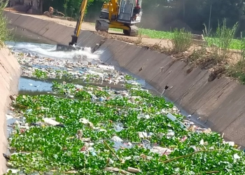 ترخيص 1073 مشروعا زراعيا.. بالمنوفية 31 - جريدة المساء ترخيص 1073 مشروعا زراعيا.. بالمنوفية 30 - جريدة المساء