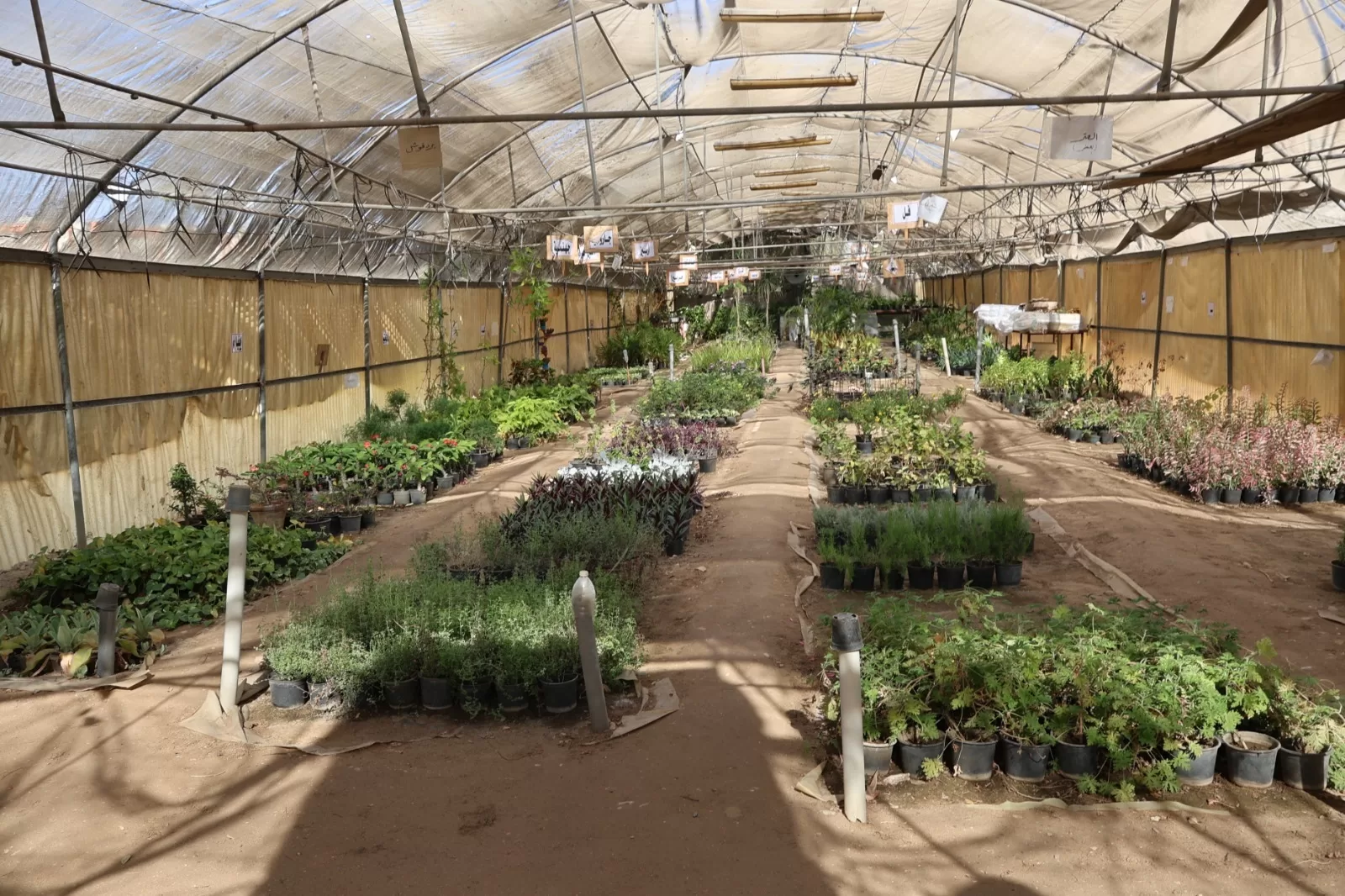 رئيس جامعة قنا يفتتح المجزر الآلي للدواجن ومشتل نباتات الزينة 23 - جريدة المساء