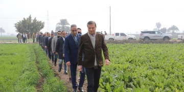 وزير الزراعة ومحافظ الفيوم يتفقدان زراعات القمح بمركز إطسا وأبو صير 9 - جريدة المساء
