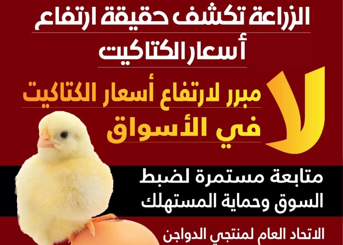 الزراعة: ليس هناك مبرر لارتفاع أسعار الكتاكيت في الأسواق .. 20 - جريدة المساء الزراعة: ليس هناك مبرر لارتفاع أسعار الكتاكيت في الأسواق .. 19 - جريدة المساء