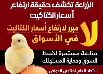 الزراعة: ليس هناك مبرر لارتفاع أسعار الكتاكيت في الأسواق .. 25 - جريدة المساء