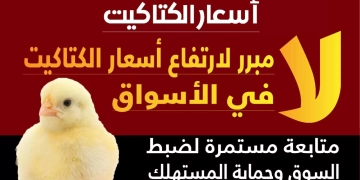 الزراعة: ليس هناك مبرر لارتفاع أسعار الكتاكيت في الأسواق .. 2 - جريدة المساء الزراعة: ليس هناك مبرر لارتفاع أسعار الكتاكيت في الأسواق .. 1 - جريدة المساء