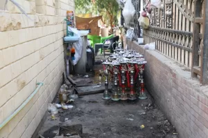 اللواء كدواني يتابع تطوير الميادين والحدائق لتحسين جودة الحياة بالمنيا 35 - جريدة المساء