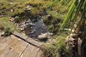اللواء كدواني يتابع تطوير الميادين والحدائق لتحسين جودة الحياة بالمنيا 41 - جريدة المساء