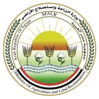 "الزراعة" تعلن فتح السوق الأوزبكي أمام صادرات مصر من الفراولة الطازجة 20 - جريدة المساء "الزراعة" تعلن فتح السوق الأوزبكي أمام صادرات مصر من الفراولة الطازجة 19 - جريدة المساء