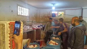 ضبط 75 طن مصنعات لحوم ودواجن فاسدة خلال شهر في الجيزة 25 - جريدة المساء