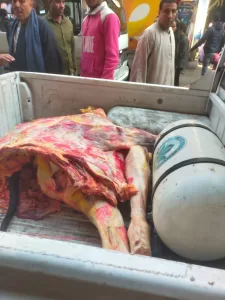 ضبط 75 طن مصنعات لحوم ودواجن فاسدة خلال شهر في الجيزة 35 - جريدة المساء