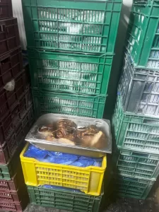 ضبط 75 طن مصنعات لحوم ودواجن فاسدة خلال شهر في الجيزة 43 - جريدة المساء