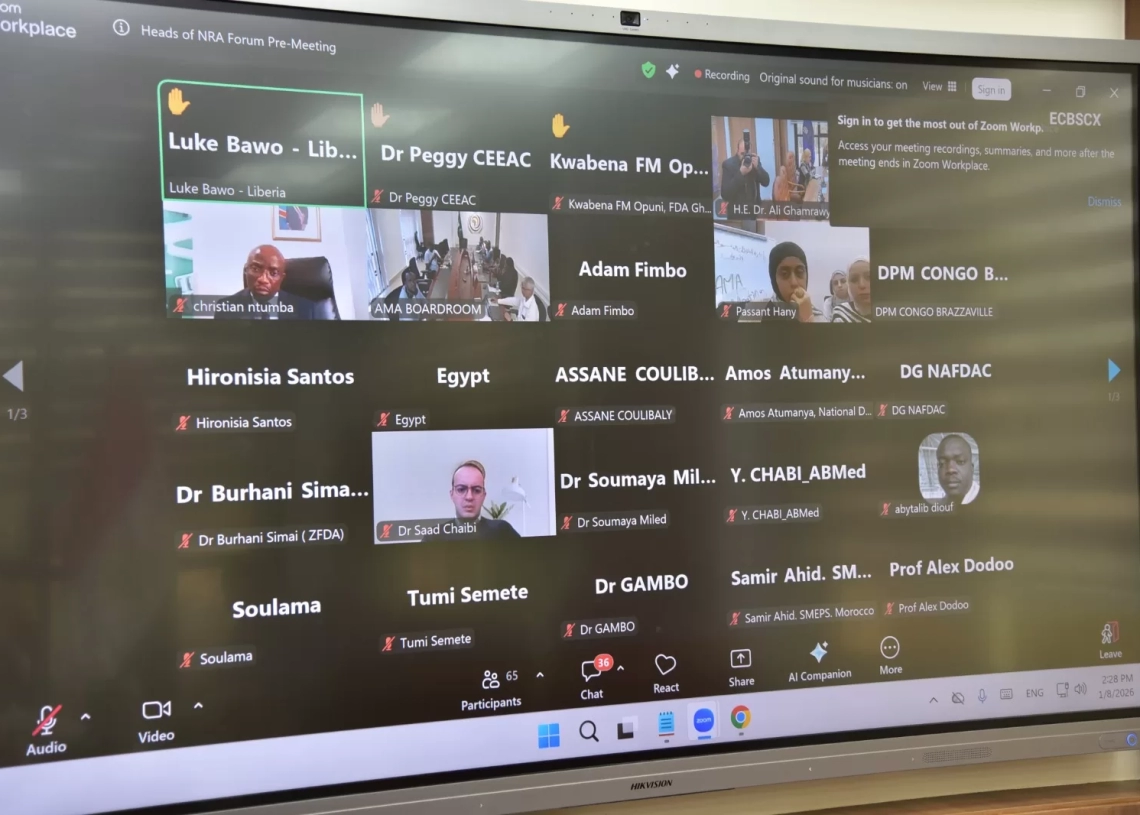 هيئة الدواء تشارك في اجتماع الأدوية الإفريقية لتعزيز التكامل التنظيمي بالقارة 19 - جريدة المساء