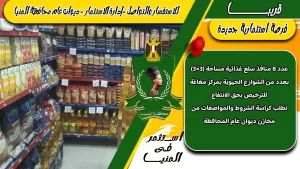 محافظ المنيا يستعرض حصاد ملف الاستثمار بنهاية 2025 25 - جريدة المساء