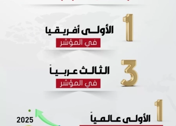 مصر تحقق تقدما 14 مركزًا عالمياً فى مؤشر الحكومات للذكاء الاصطناعى لعام 2025 27 - جريدة المساء