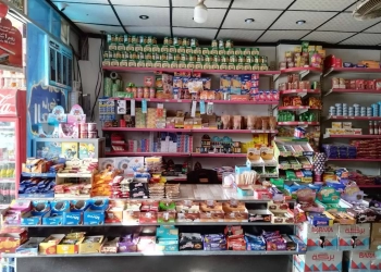 بتمويل 90 مليون جنيه..توفير 370 فرصة عمل و تنفيذ 193 مشروعاً بالمنوفية 24 - جريدة المساء