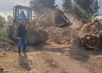 إزالة 60 مكمورة فحم نباتى مخالفة بالدقهلية 34 - جريدة المساء إزالة 60 مكمورة فحم نباتى مخالفة بالدقهلية 33 - جريدة المساء