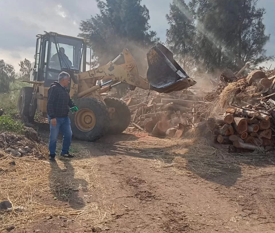 إزالة 60 مكمورة فحم نباتى مخالفة بالدقهلية 20 - جريدة المساء إزالة 60 مكمورة فحم نباتى مخالفة بالدقهلية 19 - جريدة المساء