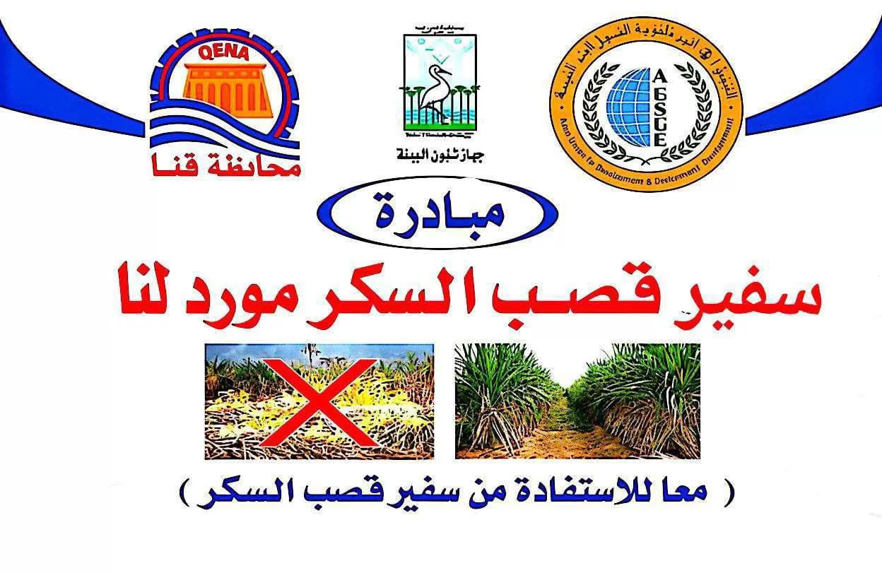 إطلاق حملة لتعظيم الاستفادة من سفير قصب السكر بقنا  33 - جريدة المساء