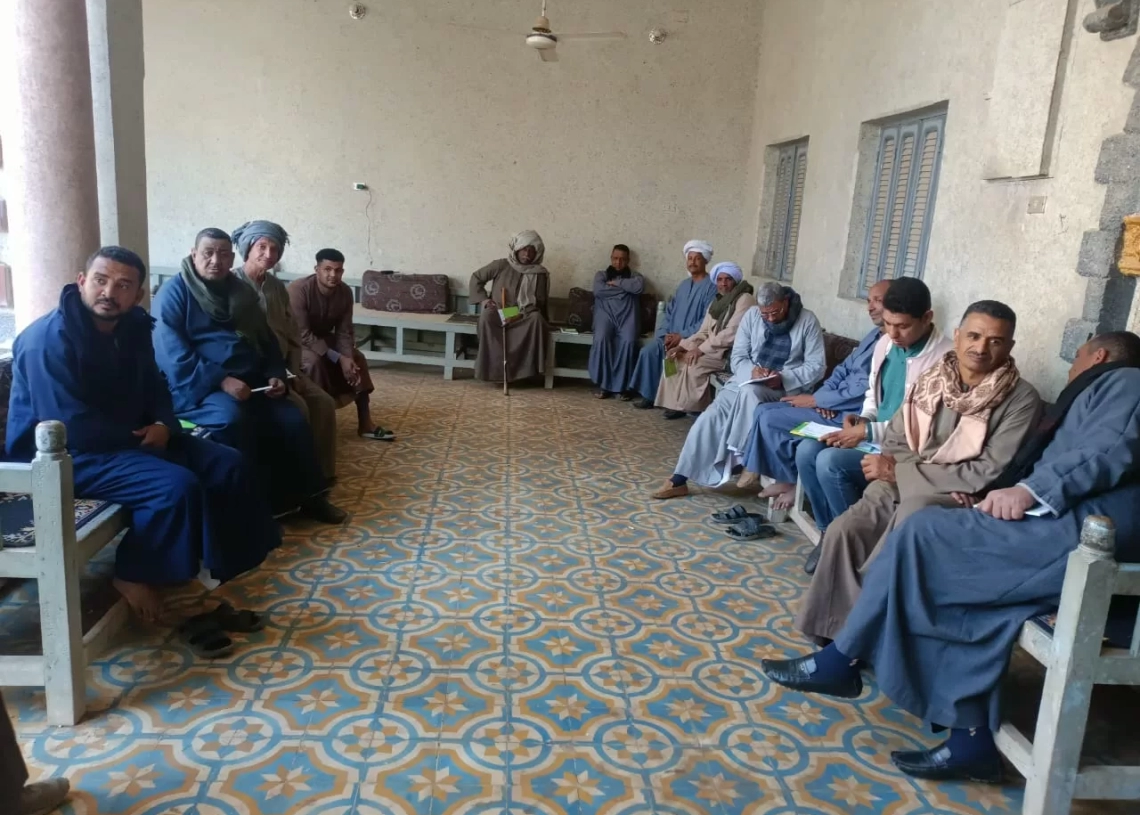 إطلاق حملة لتعظيم الاستفادة من سفير قصب السكر بقنا  19 - جريدة المساء