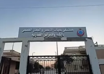 الصحة: تقديم أكثر من 530 ألف خدمة طبية بمحافظة الأقصر خلال عام 2025 26 - جريدة المساء