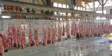 الزراعة : المجازر الحكومية استقبلت ٧٠٠ ألف رأس ماشية خلال النصف الثاني من ٢٠٢٥ 1 - جريدة المساء