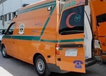 العثور على 3 أطفال "مخنوقين" داخل منزل مهجور..بالمنوفية 25 - جريدة المساء