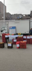 محافظ الجيزة يتابع انتظام سوق اليوم الواحد بشارع الصوامع بإمبابة 62 - جريدة المساء