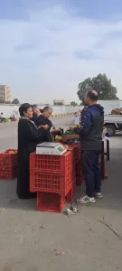 محافظ الجيزة يتابع انتظام سوق اليوم الواحد بشارع الصوامع بإمبابة 72 - جريدة المساء