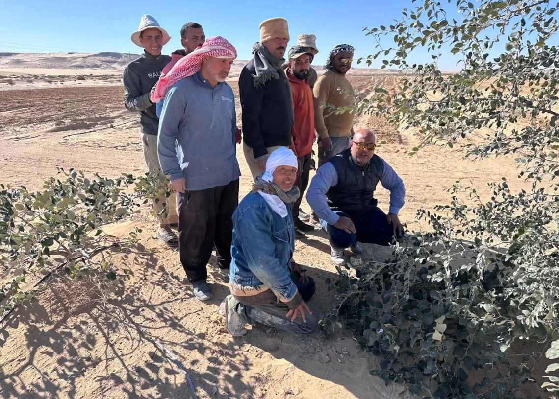 "الزراعة" تواصل تفقد التجمعات التنموية بشمال وجنوب سيناء 19 - جريدة المساء